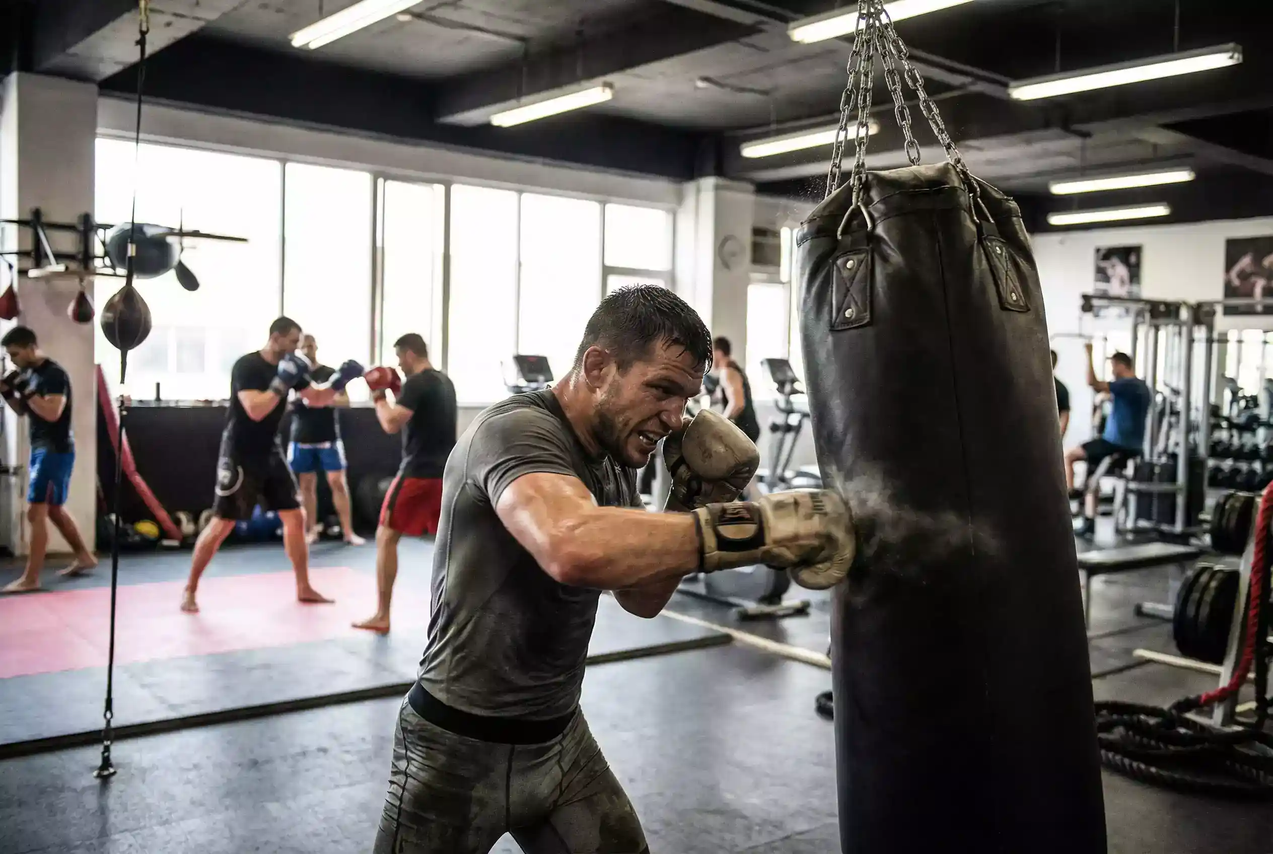 MMA Fight Camp Analyse: Trainingsinfos für Wetten nutzen