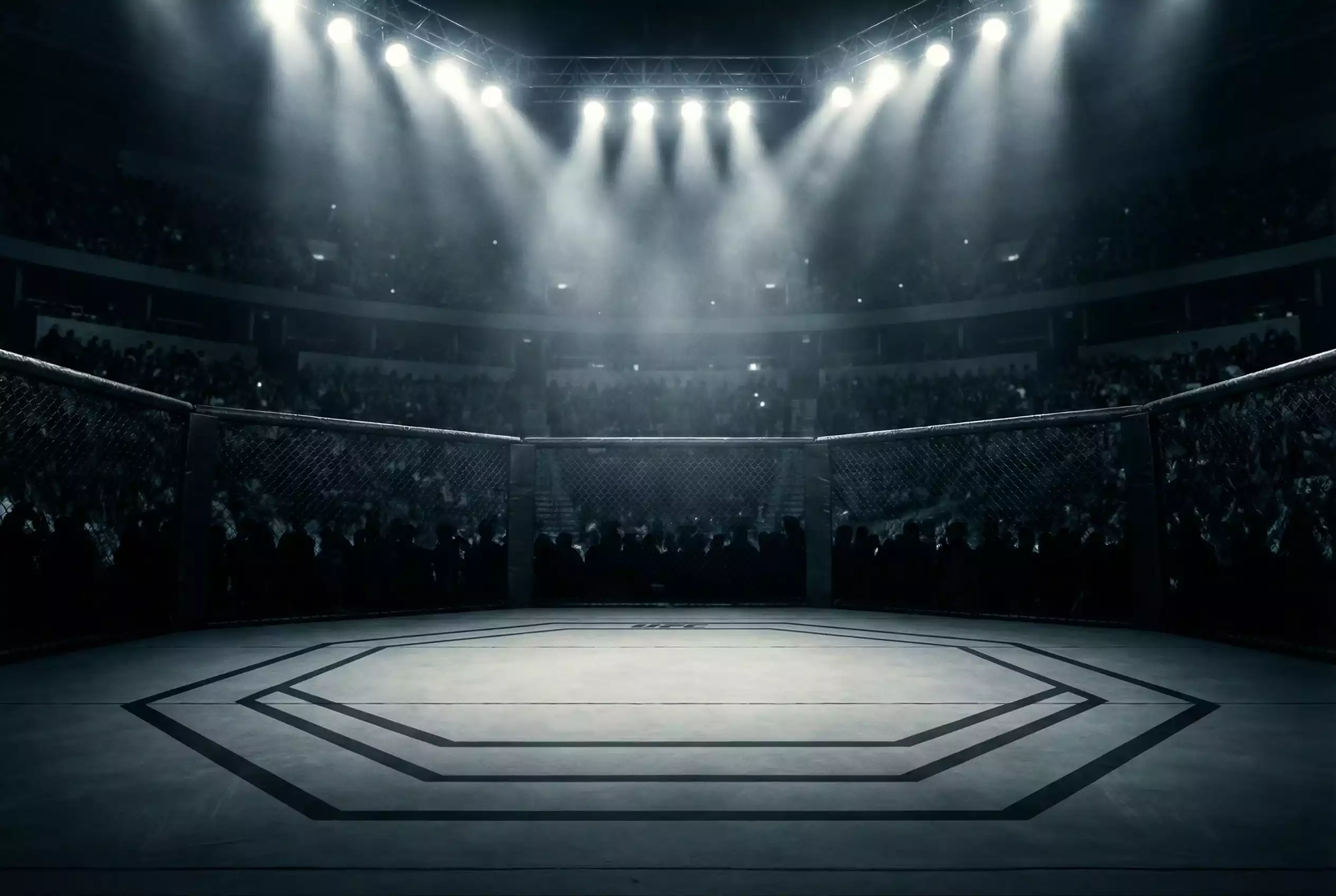 MMA-Kämpfer im Octagon unter Scheinwerferlicht
