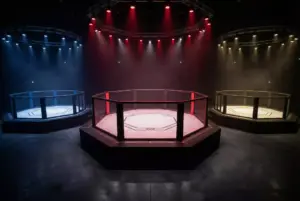 UFC vs Bellator vs PFL: MMA-Organisationen im Wettvergleich