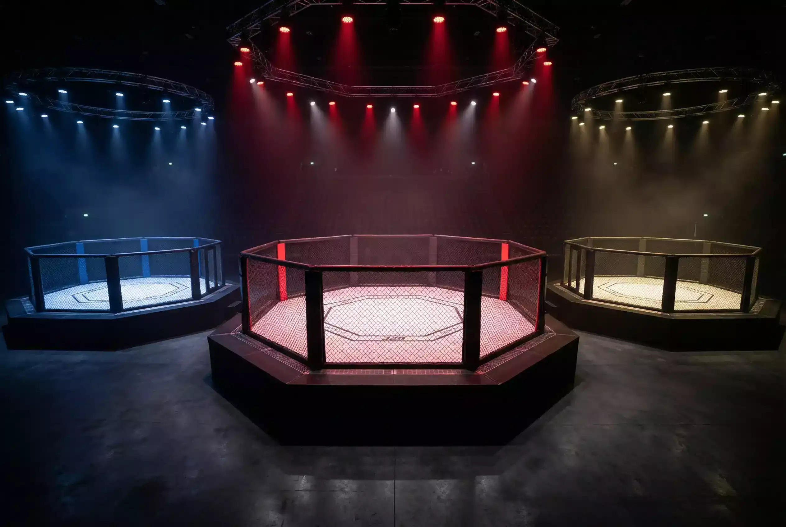 UFC Bellator PFL MMA Organisationen im Vergleich